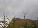 ariss017.jpg