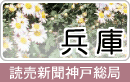 ǔV_ˑ